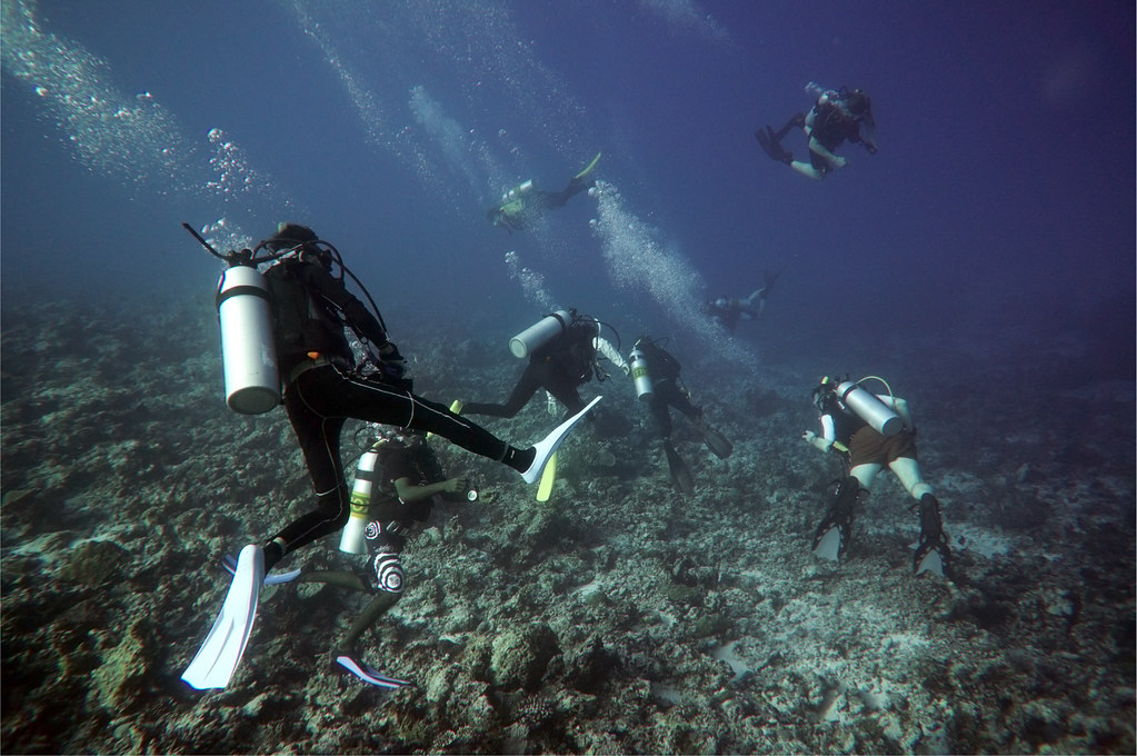 MALDIVES6
