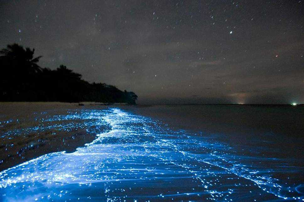 MALDIVES7