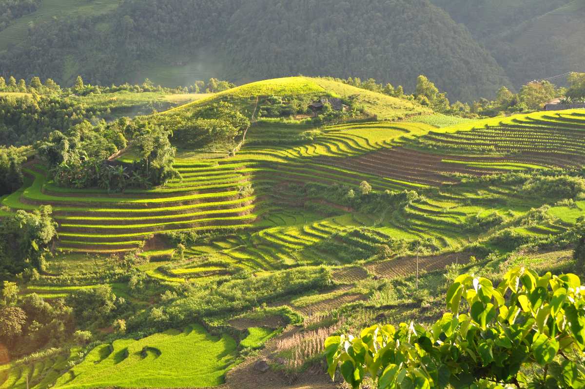 VIETNAM02
